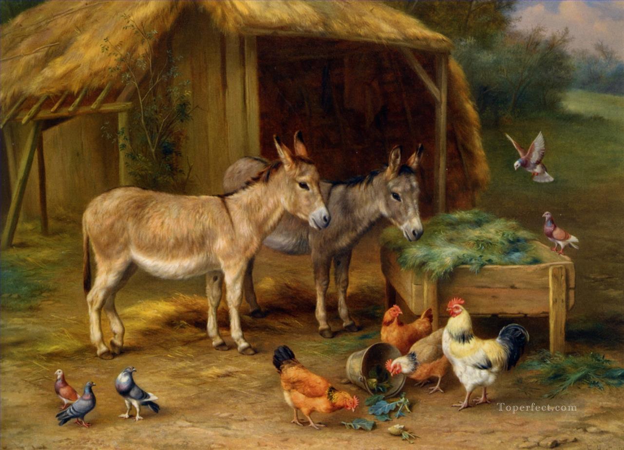 donkey pigeons and hen Oil Paintings